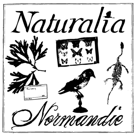 Naturalia-logo.png